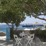 Asimina 3*