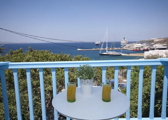 Πανσιόν ασημίνα Τούρλος