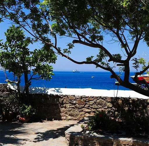 Πανσιόν ασημίνα