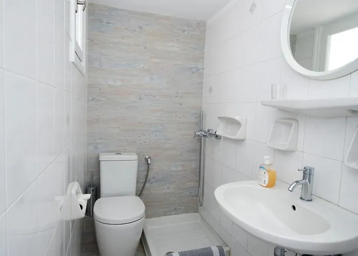 Πανσιόν ασημίνα Τούρλος