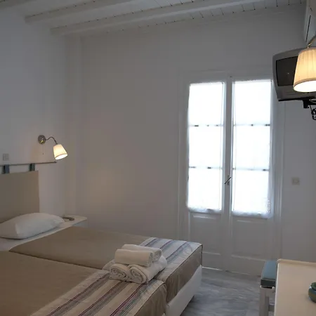 Asimina تورلوس