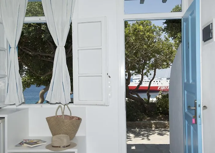 Asimina טורלוס