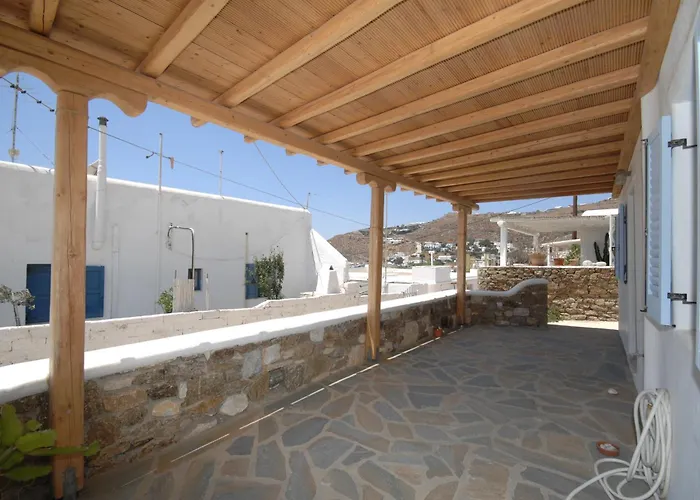 Asimina טורלוס